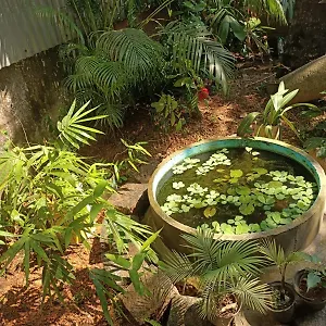 Séjour chez l'habitant Adams Wood House Ayurveda, Kochi
